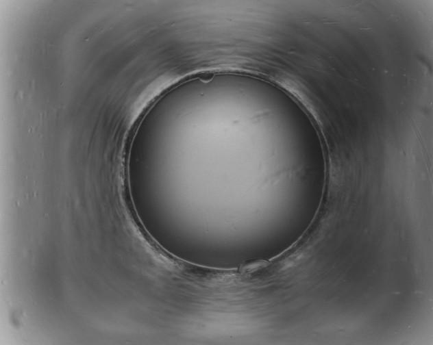 X0000103291093200809051454