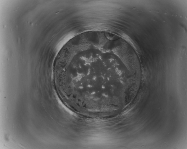 X0000103291095200809051454