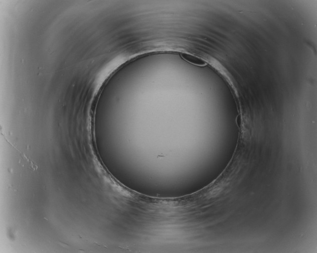 X0000103291096200809051454