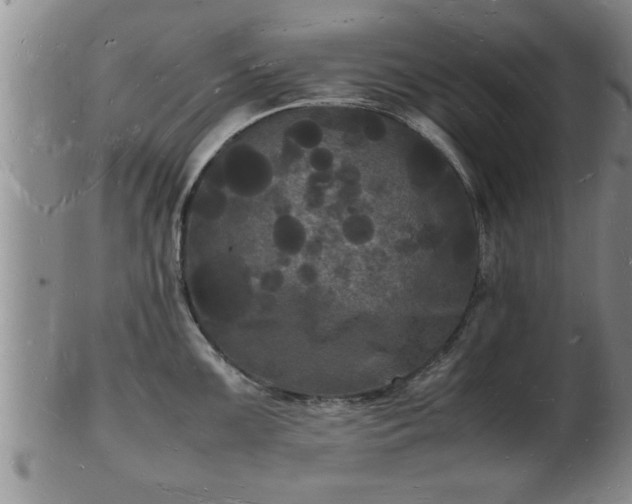 X0000103291099200809051454