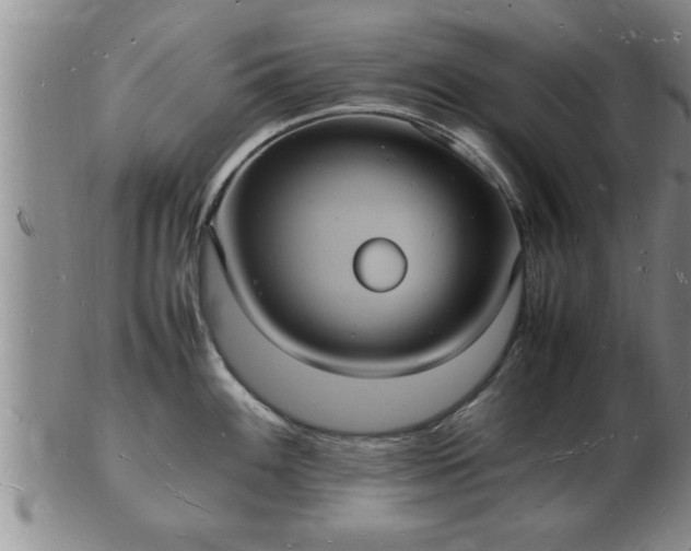 X0000103291100200809051454