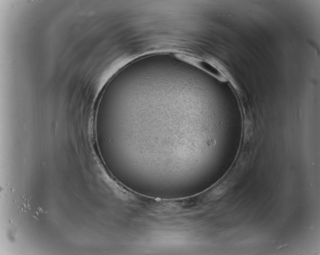 X0000103291101200809051454