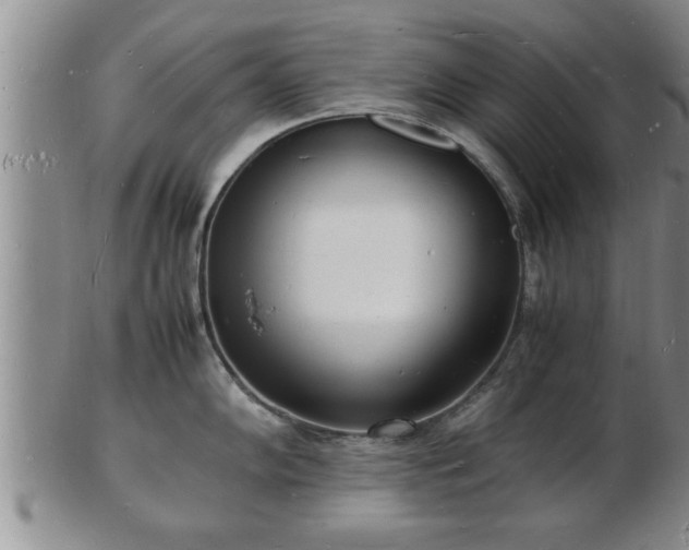 X0000103291102200809051454