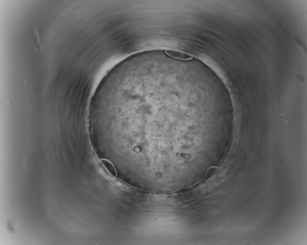 X0000103291104200809051454