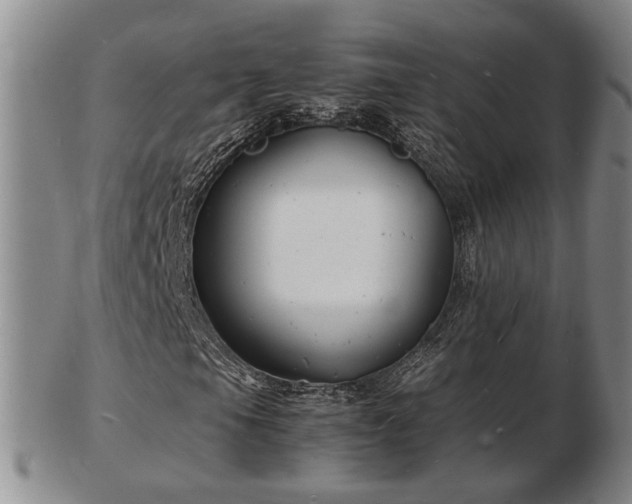 X0000103291105200809051453