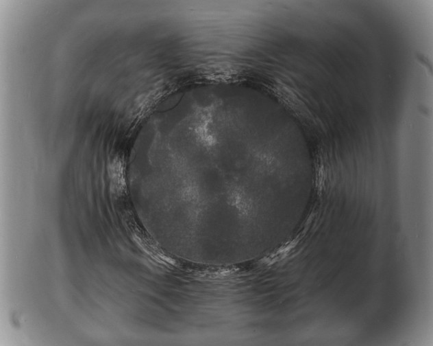 X0000103291106200809051453