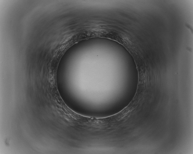 X0000103291109200809051453