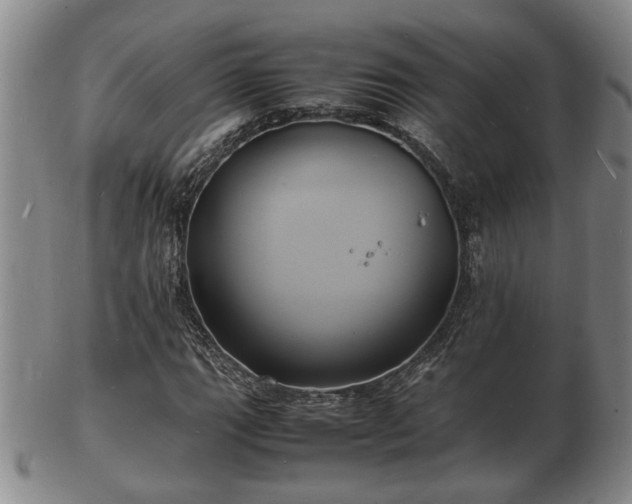 X0000103291111200809051453