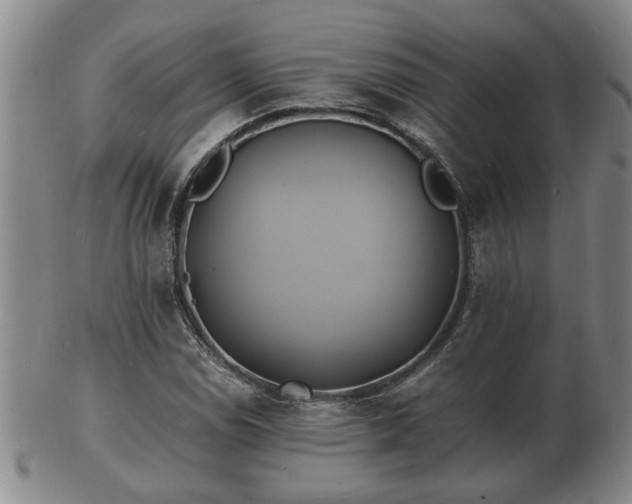 X0000103291114200809051453