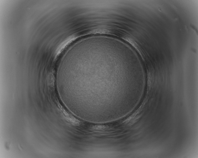 X0000103291115200809051453