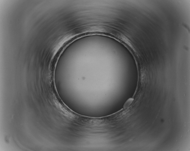 X0000103291116200809051453