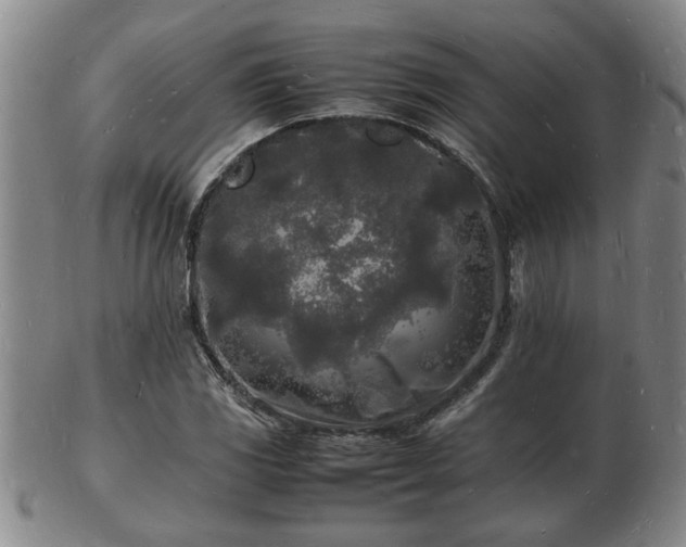 X0000103291117200809051453