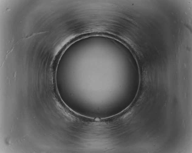 X0000103291118200809051453