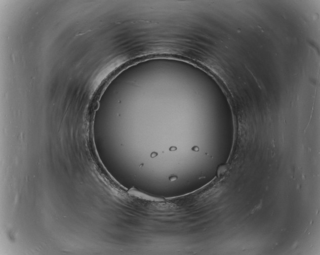 X0000103291119200809051453