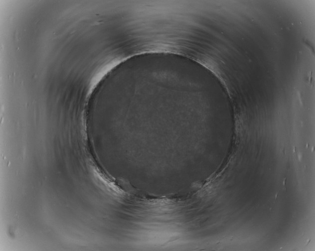 X0000103291120200809051453