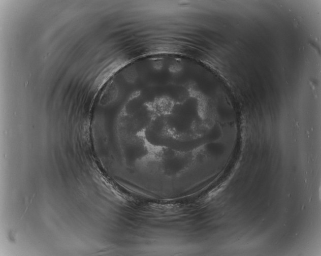 X0000103291121200809051453