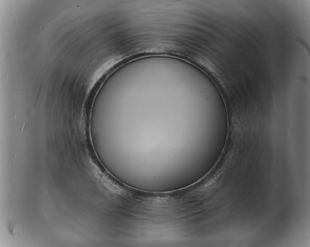 X0000103291122200809051453