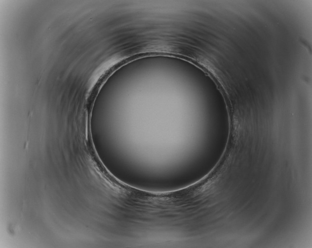 X0000103291123200809051453