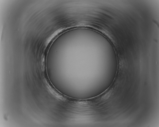 X0000103291126200809051453