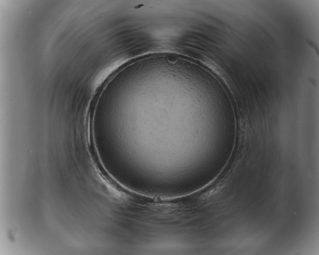 X0000103291127200809051453