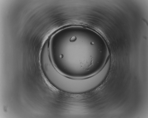 X0000103291128200809051453