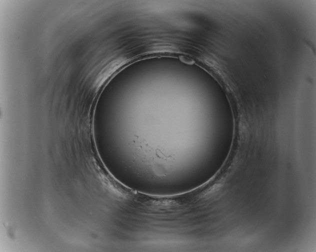 X0000103291129200809051453