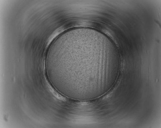 X0000103291130200809051453