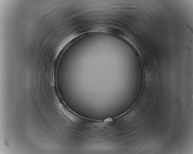 X0000103291131200809051453