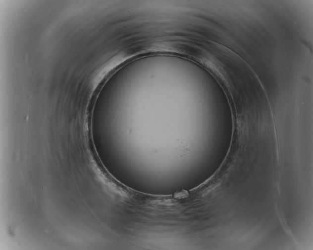 X0000103291133200809051453