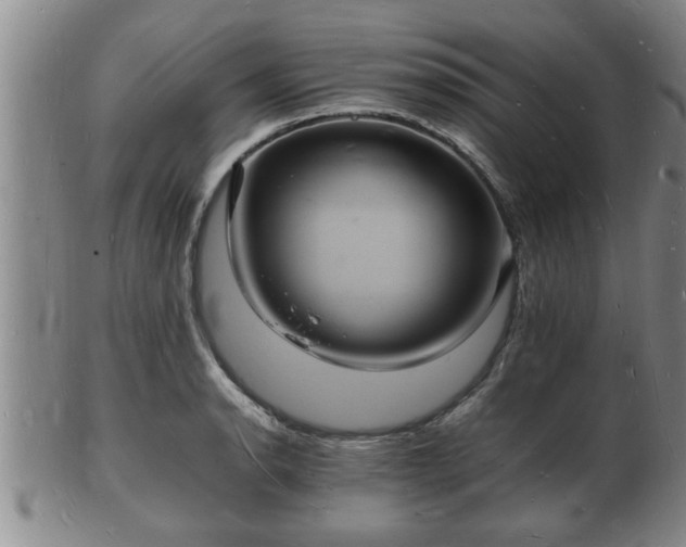 X0000103291134200809051453