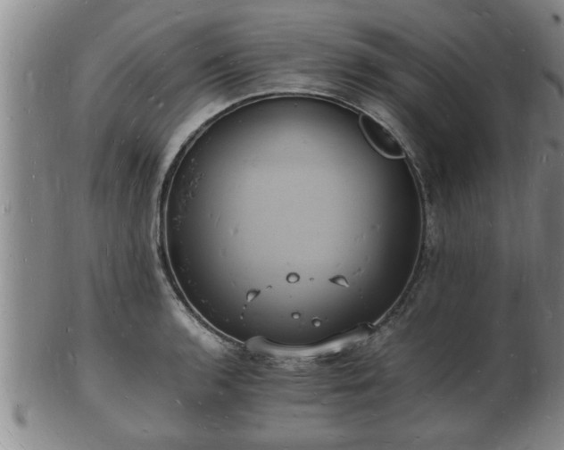 X0000103291136200809051453