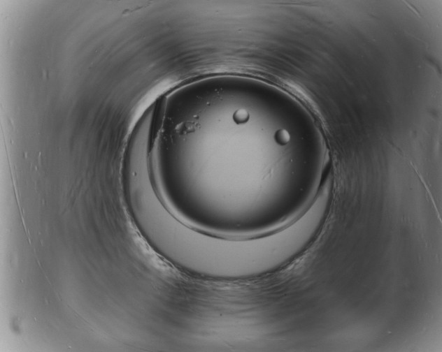 X0000103291138200809051453