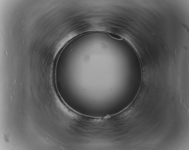 X0000103291139200809051453