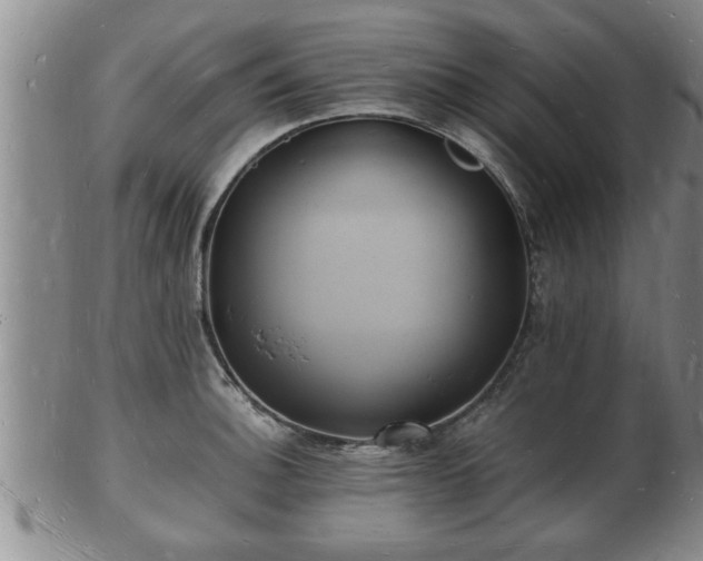 X0000103291140200809051453