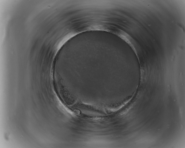 X0000103291141200809051453