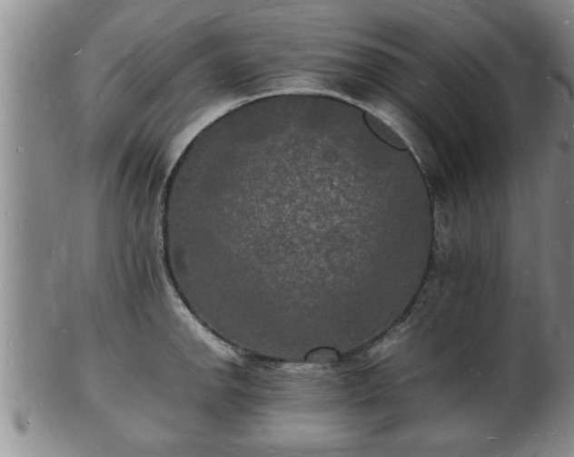 X0000103291142200809051453