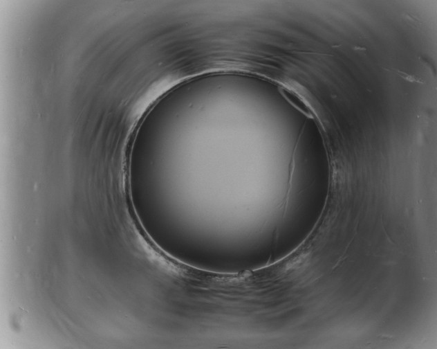 X0000103291143200809051453