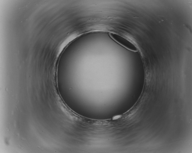 X0000103291146200809051453