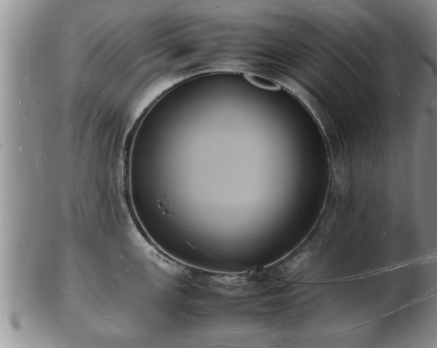 X0000103291147200809051454