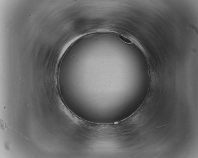 X0000103291148200809051454