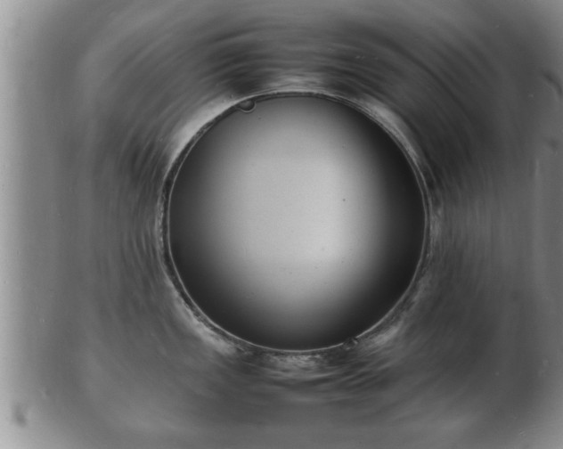 X0000103291149200809051454