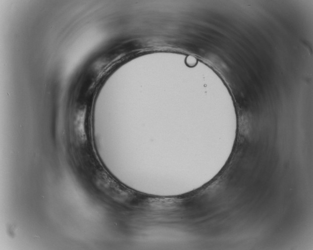 X0000103291150200809051454