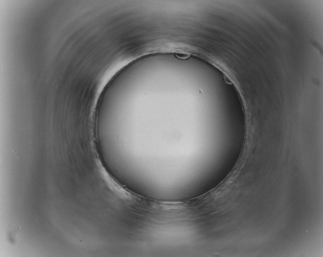 X0000103291152200809051454