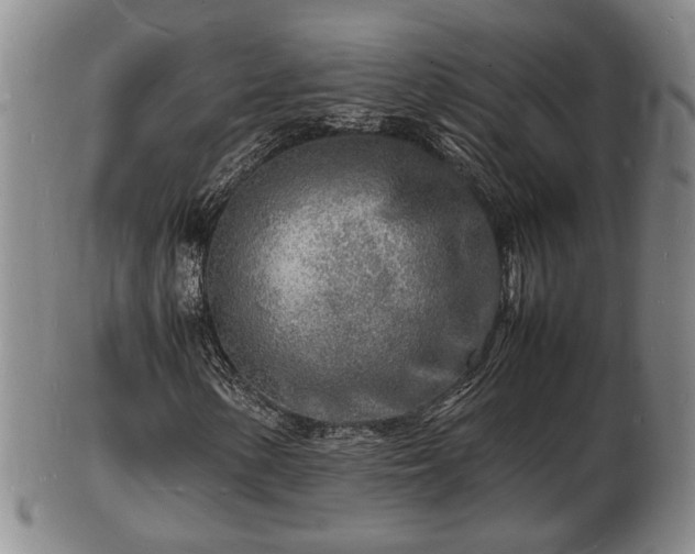 X0000103291154200809051453