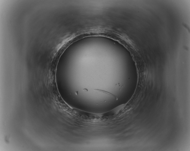 X0000103291160200809051453