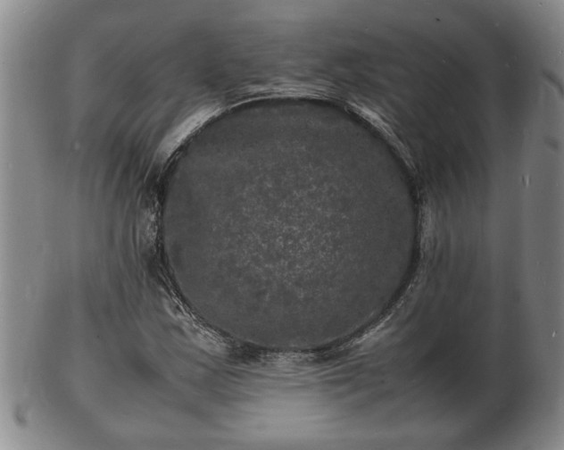 X0000103291163200809051453