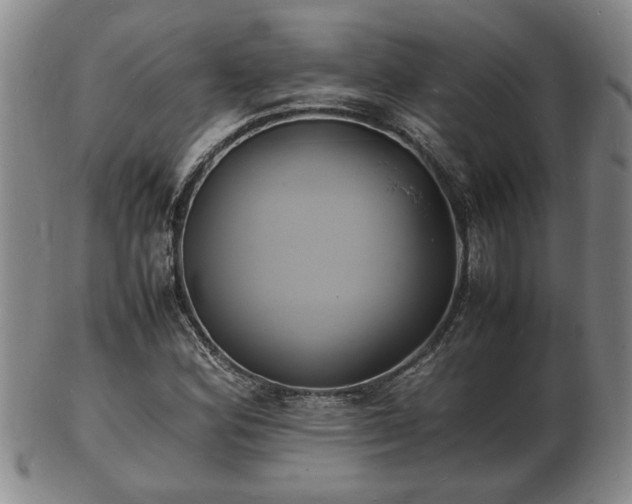 X0000103291164200809051453