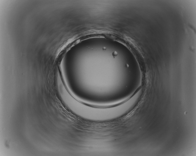 X0000103291165200809051453