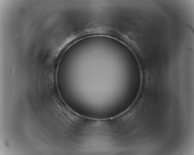 X0000103291166200809051453