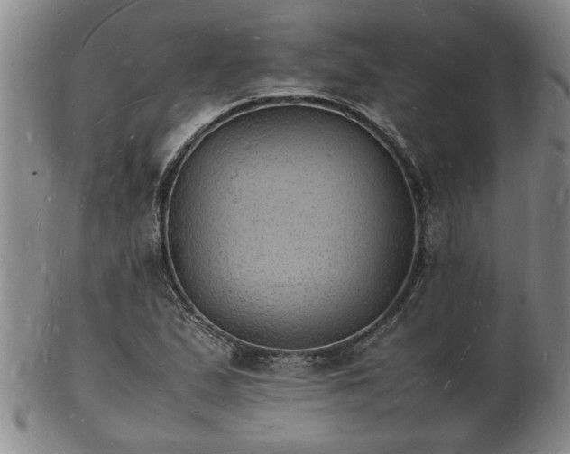 X0000103291167200809051453